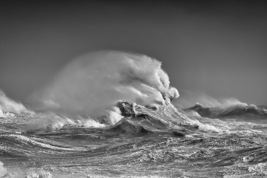 Ocean Dance