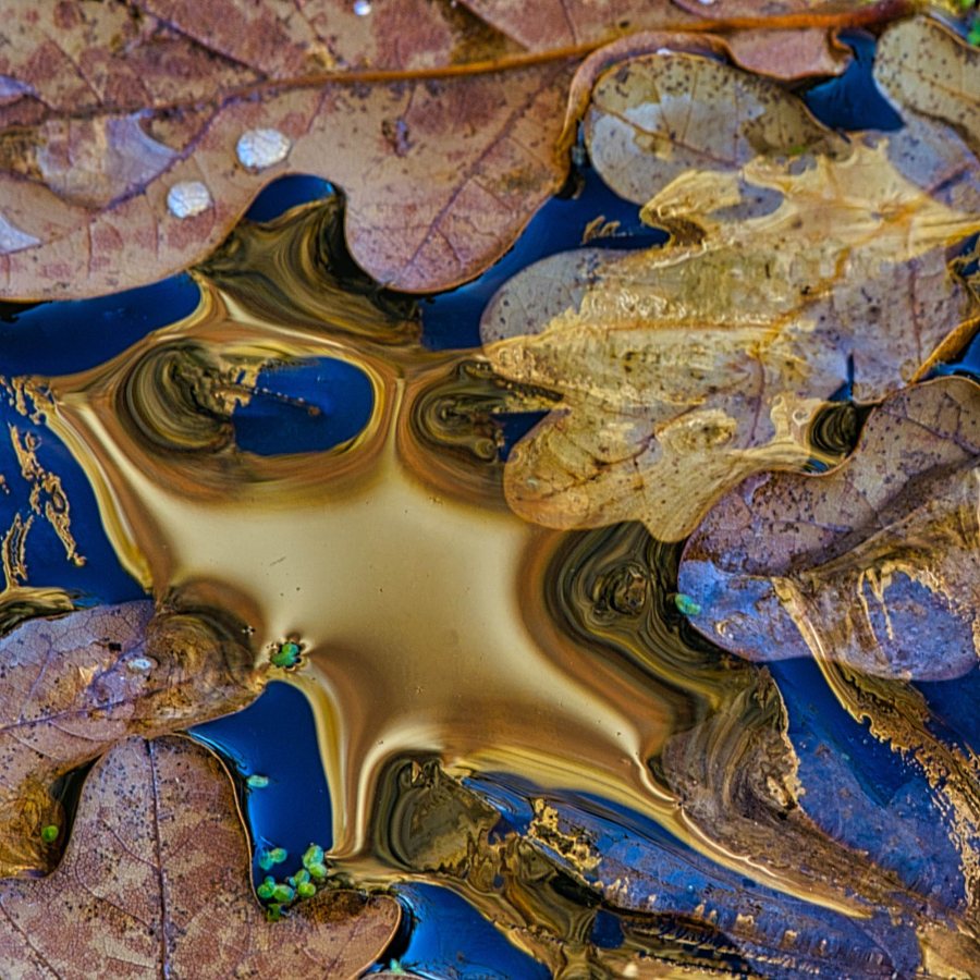 Liquid Gold II
